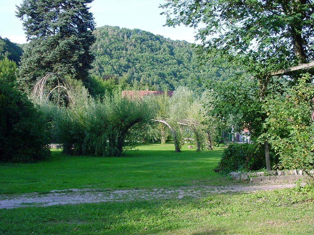 Chambres D'Hotes " Le Magnolia " Sainte-Croix-aux-Mines Buitenkant foto