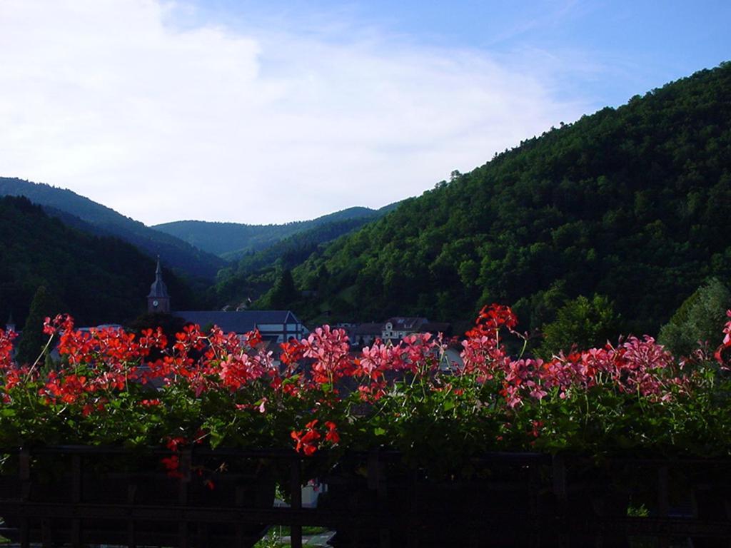 Chambres D'Hotes " Le Magnolia " Sainte-Croix-aux-Mines Buitenkant foto