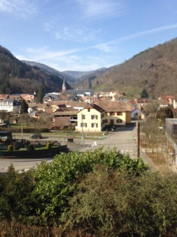 Chambres D'Hotes " Le Magnolia " Sainte-Croix-aux-Mines Buitenkant foto