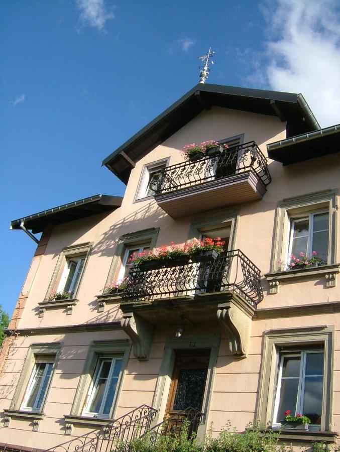 Chambres D'Hotes " Le Magnolia " (Adults Only) Sainte-Croix-aux-Mines Buitenkant foto