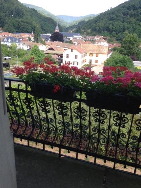 Chambres D'Hotes " Le Magnolia " (Adults Only) Sainte-Croix-aux-Mines Buitenkant foto